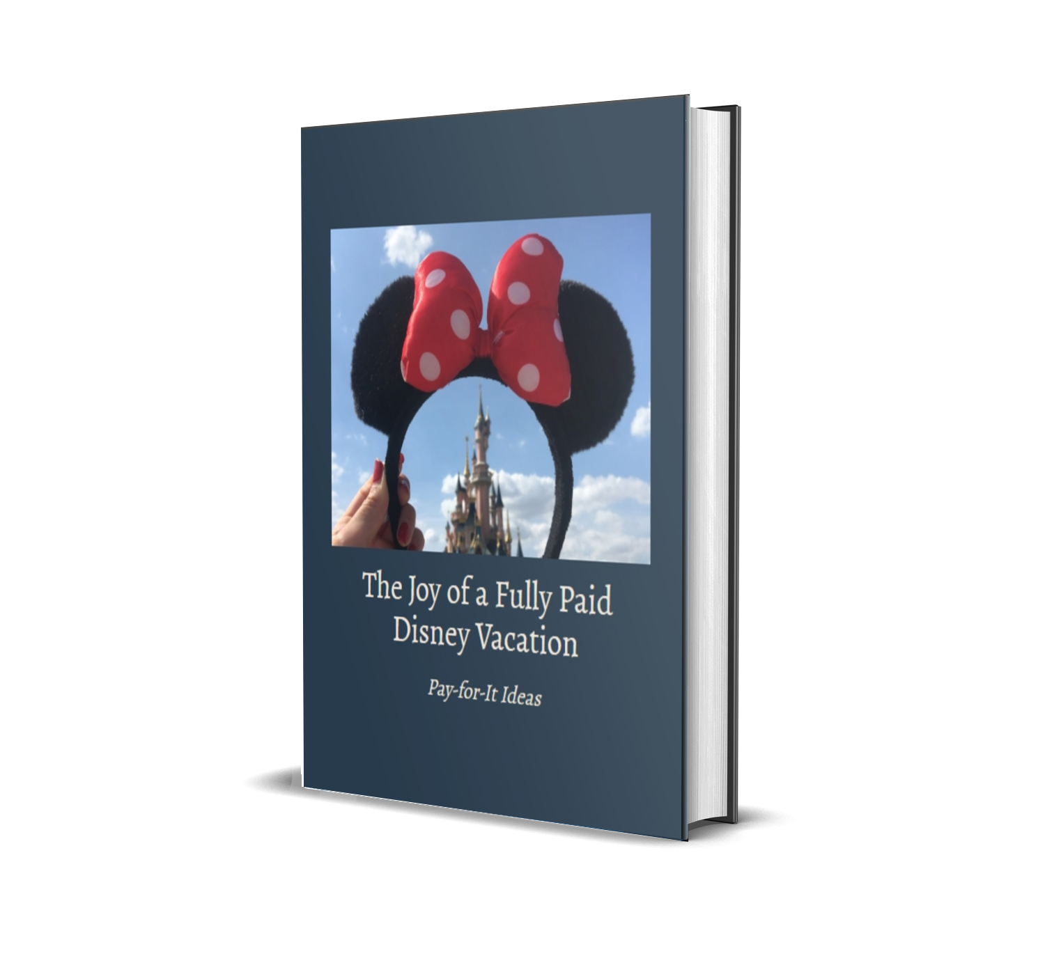 The Joy of a Fully Paid Disney Vacation Guide Book Cover