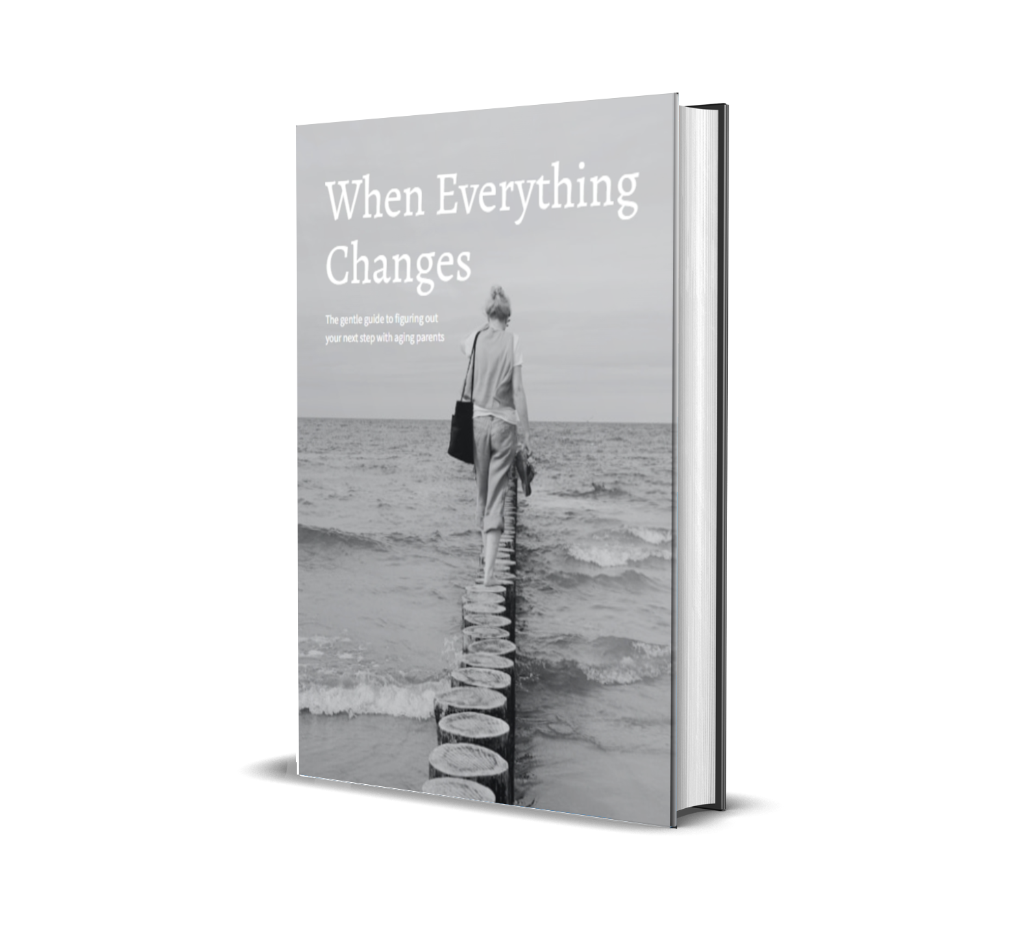 When Everything Changes Guide Book Cover